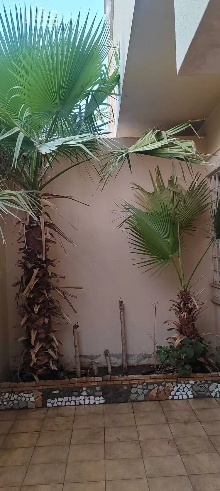 شقة للإيجار في شارع الخالدية 32, حي الخالدية, مدينة الدرعية, منطقة الرياض صورة 3