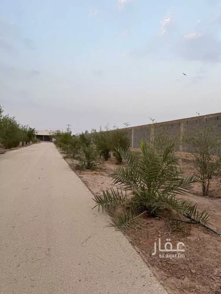 مزرعة للبيع في شارع عبدالله ابن عباس ، تبراك ، القويعية صورة 4