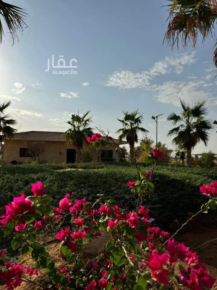 مزرعة للبيع في شارع عبدالله ابن عباس ، تبراك ، القويعية