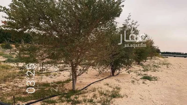 مزرعة للبيع في حي السديره, مدينة السديره, المنطقة الشرقية صورة 5