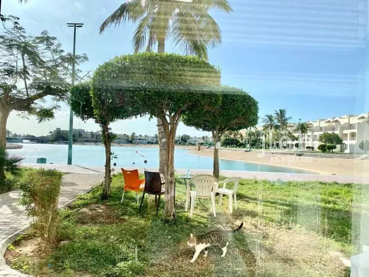 شقة للبيع في حي درة العروس, مدينة جدة, منطقة مكة المكرمة 8