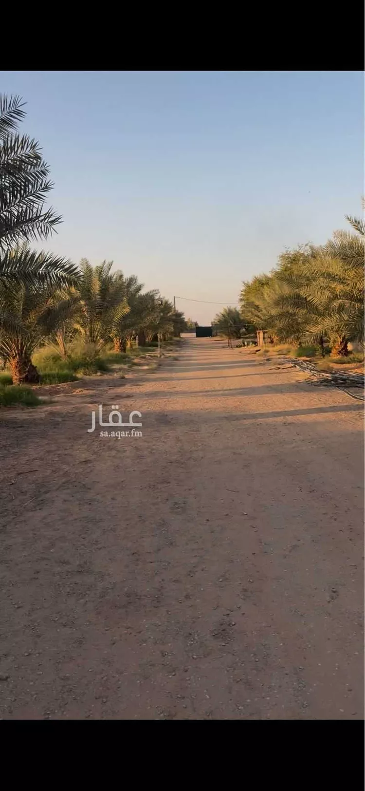 مزرعة للبيع في شارع الزبير ابن العوام ابن خويلد ابن اسد ، الخفق القديم ، القويعية صورة 2