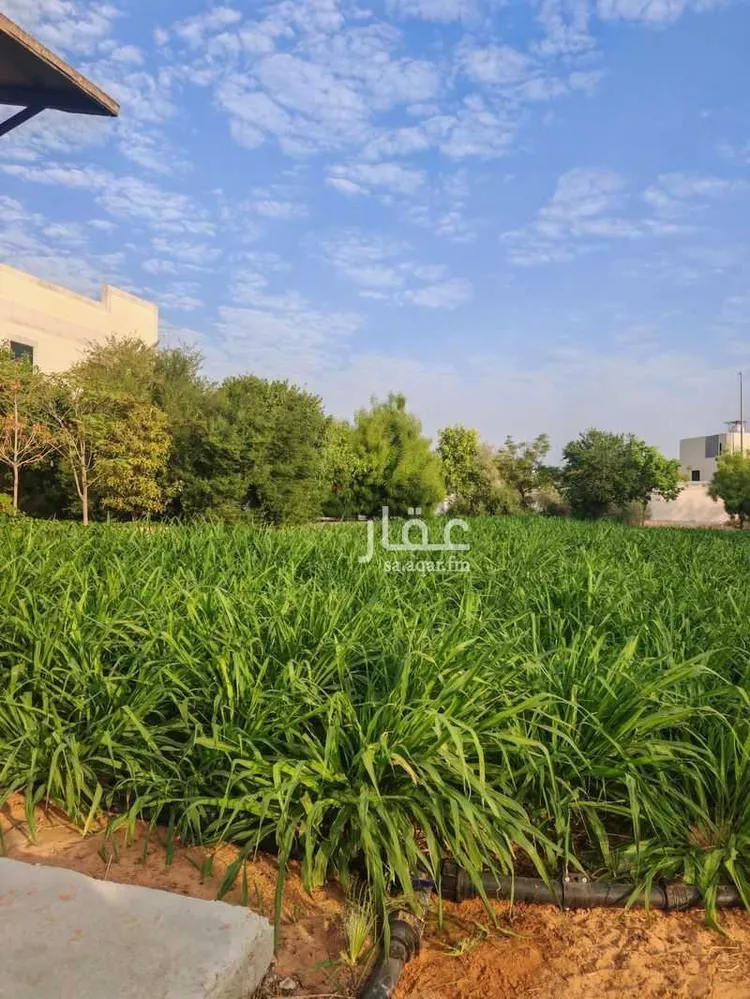 مزرعة للبيع في شارع 6744370, حي المعالي, مدينة عنيزة, منطقة القصيم 21