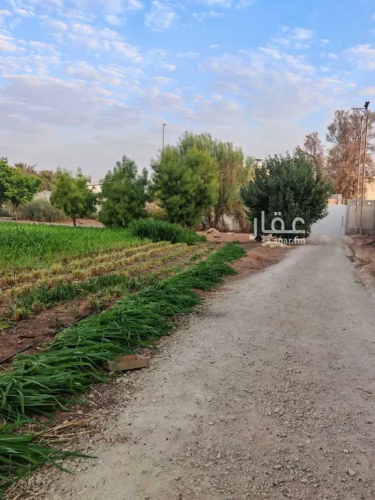 مزرعة للبيع في شارع 6744370, حي المعالي, مدينة عنيزة, منطقة القصيم 20