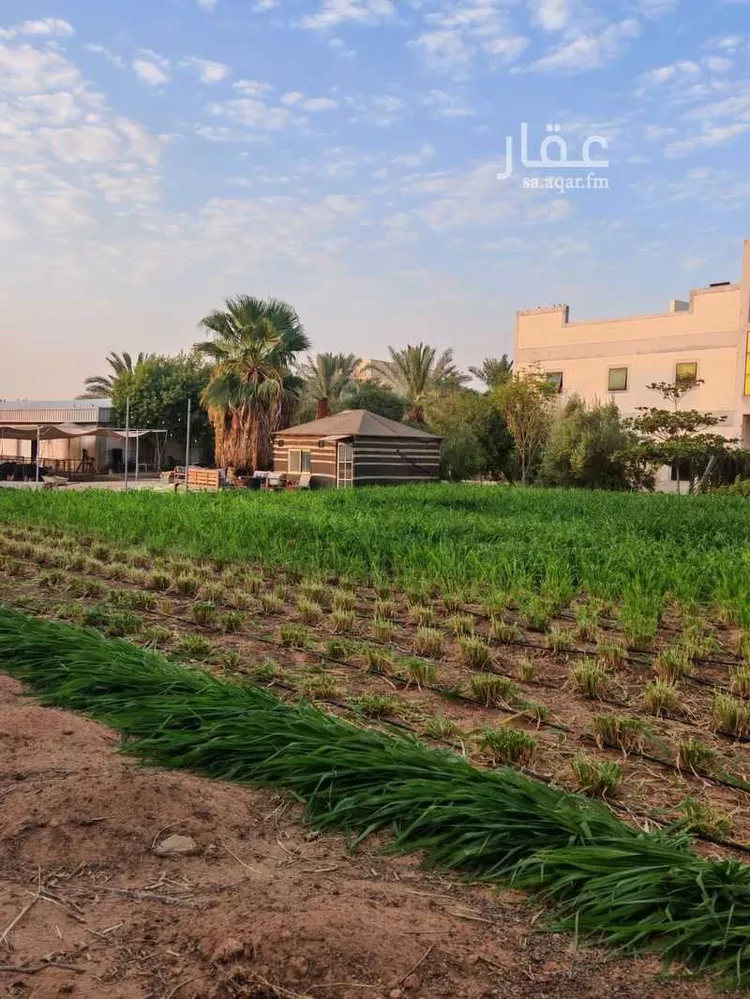 مزرعة للبيع في شارع 6744370, حي المعالي, مدينة عنيزة, منطقة القصيم 22