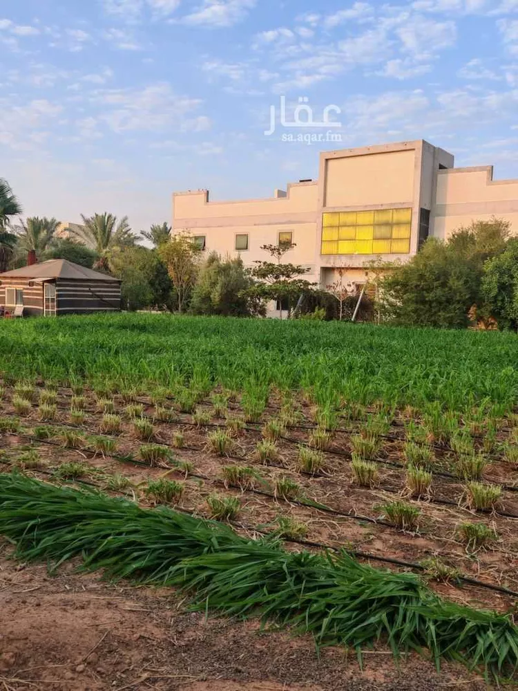 مزرعة للبيع في شارع 6744370, حي المعالي, مدينة عنيزة, منطقة القصيم 24