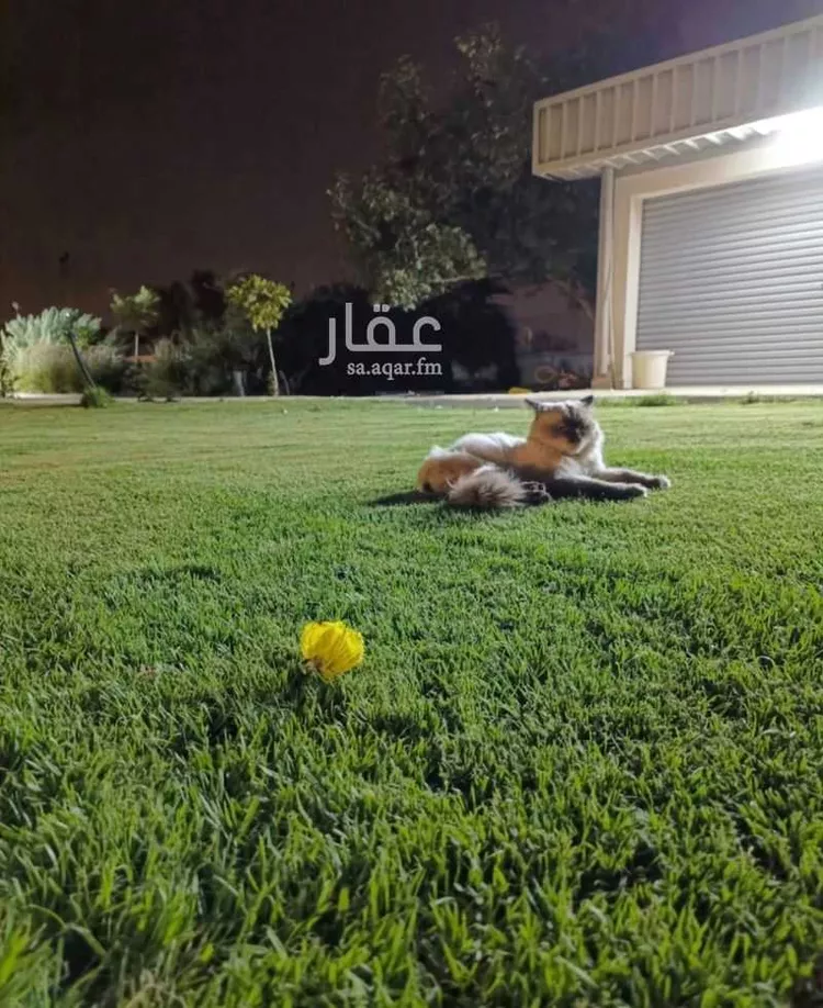 مزرعة للبيع في شارع 6744370, حي المعالي, مدينة عنيزة, منطقة القصيم 9