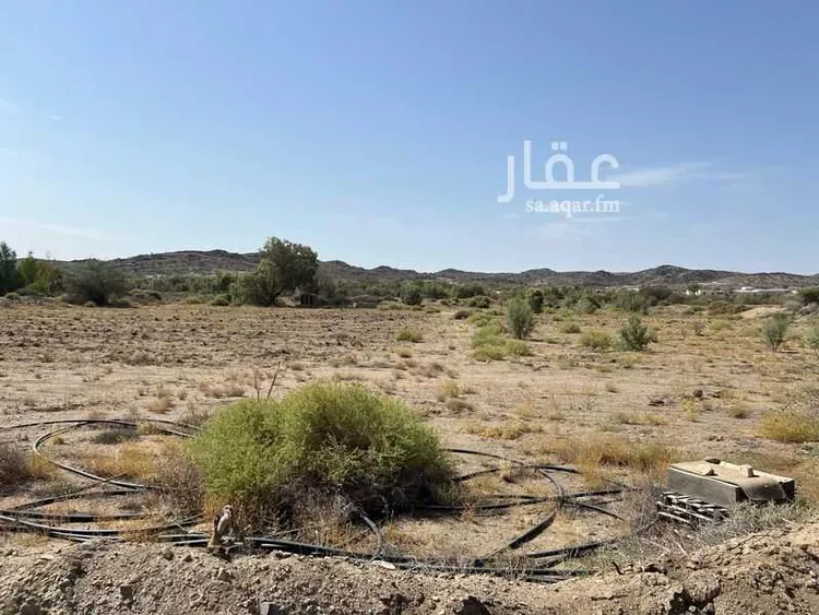 مزرعة للبيع في شارع قنة وقدان 2 ، حي قنة وقدان ، الطائف ، الطائف صورة 2