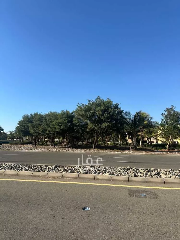 أرض للبيع في null صورة 2