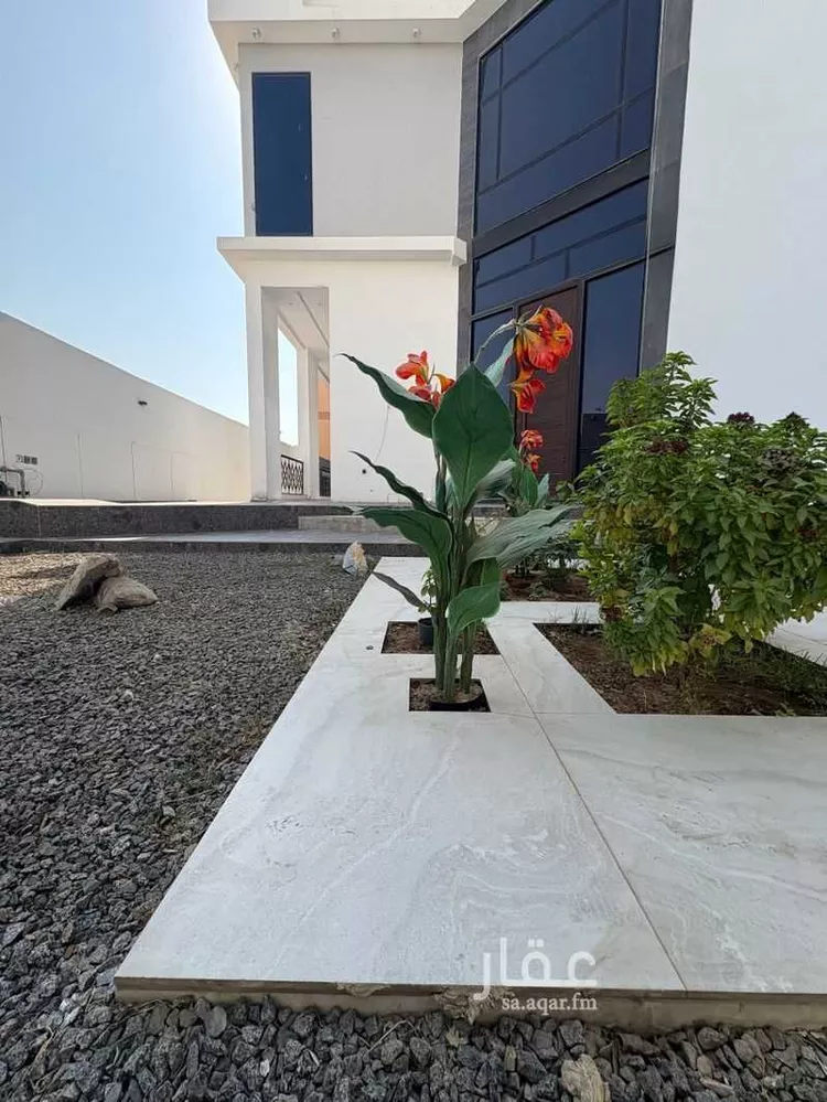 استوديو للإيجار في شارع ابو القاسم بن الشيخ, حي اللؤلؤ, مدينة جدة, منطقة مكة المكرمة صورة 4
