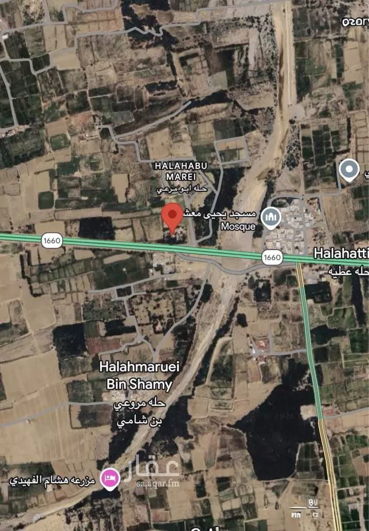 مزرعة للبيع في شارع العام, مدينة حله ابو مرعي, منطقة جازان