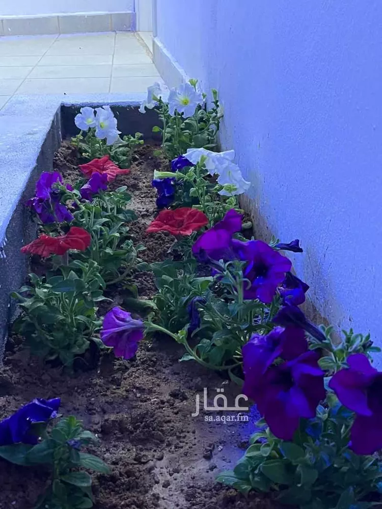 شاليه واستراحة للحجز في شارع البدوان ، حي النقرة قفار ، حائل ، منطقة حائل 9