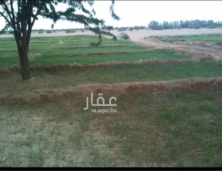 مزرعة للبيع في مدينة خليص, منطقة مكة المكرمة صورة 2