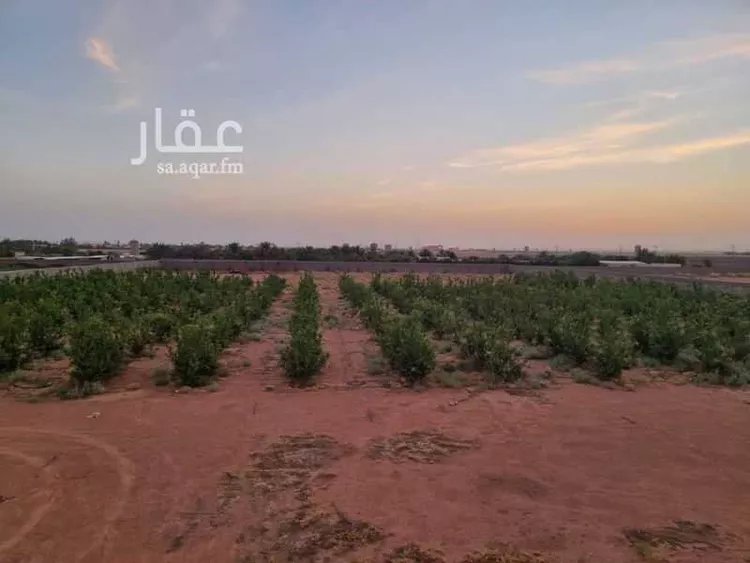 مزرعة للبيع في شارع القاعد 80, حي عثمر , مدينة عثمر المخطط, منطقة حائل 24