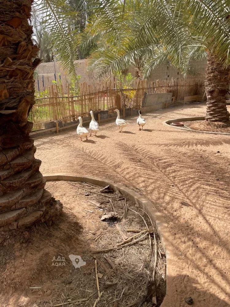 استراحة للبيع في شارع الرميحي, حي العفجه, مدينة الخرج, منطقة الرياض 20