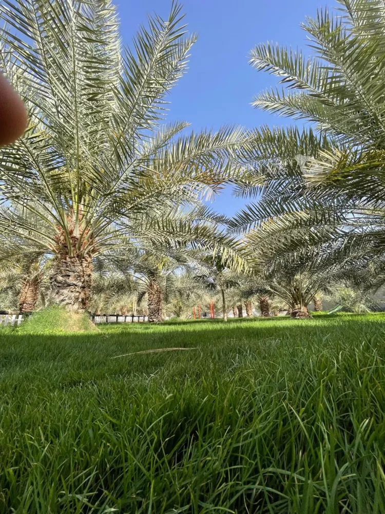 استراحة للبيع في شارع الرميحي, حي العفجه, مدينة الخرج, منطقة الرياض 17