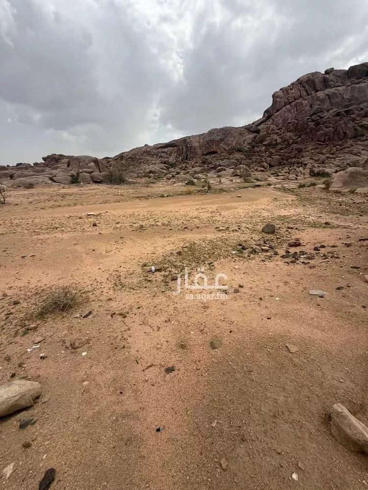 أرض للبيع في شارع الزهور, حي النرجس, مدينة أبها, منطقة عسير صورة 2