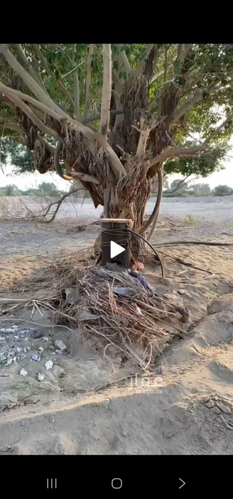 أرض للإيجار في شارع ابراهيم بن جابر, مدينة عصيره, منطقة عسير صورة 4