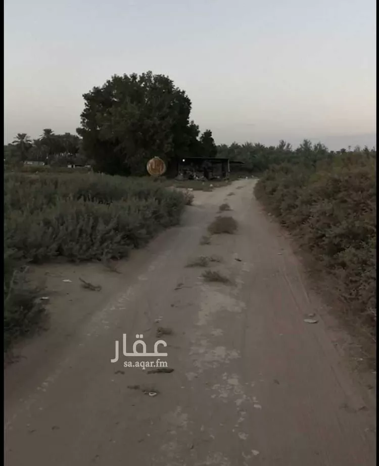 مزرعة للبيع في شارع نعجان, مدينة الخرج, منطقة الرياض