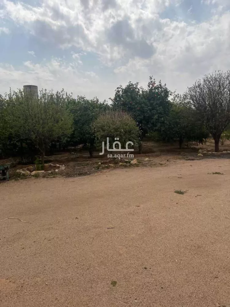 مزرعة للبيع في شارع طريق زراعي 30م, مدينة عيون الجواء, منطقة القصيم صورة 5