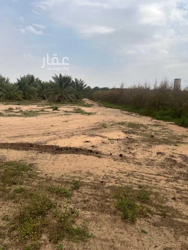 مزرعة للبيع في شارع طريق زراعي 30م, مدينة عيون الجواء, منطقة القصيم صورة 3