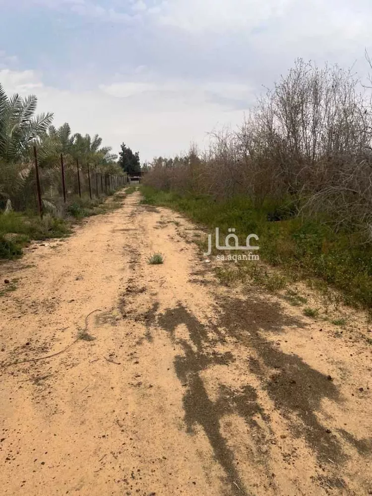 مزرعة للبيع في شارع طريق زراعي 30م, مدينة عيون الجواء, منطقة القصيم صورة 2