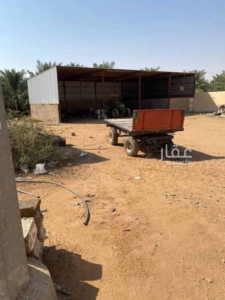 مزرعة للبيع في شارع عبدالله بن ثعلة ، ساق ، رياض الخبراء صورة 5