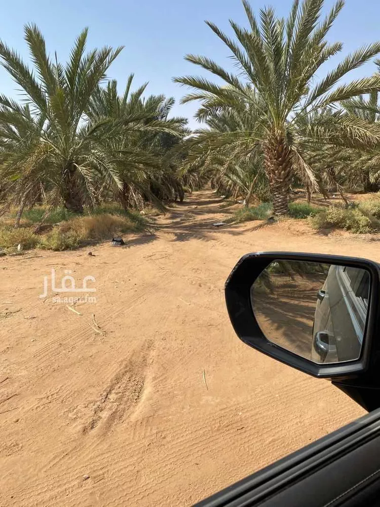 مزرعة للبيع في شارع عبدالله بن ثعلة ، ساق ، رياض الخبراء