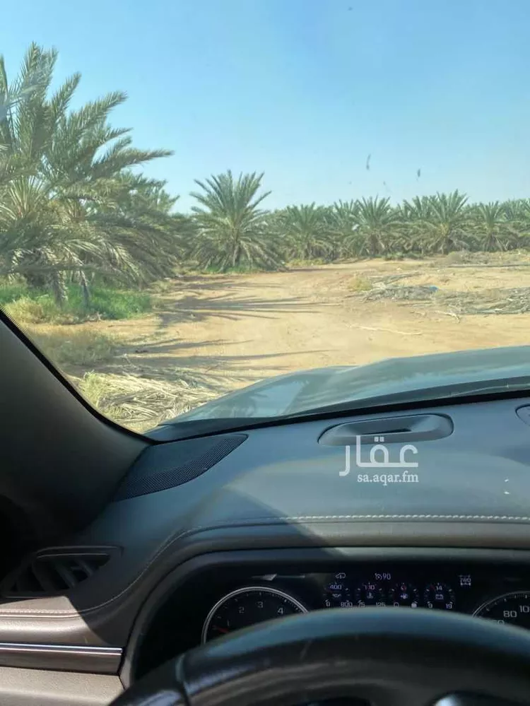 مزرعة للبيع في شارع عبدالله بن ثعلة ، ساق ، رياض الخبراء صورة 3