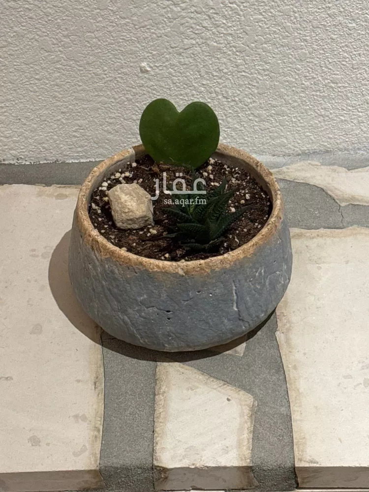شقة للإيجار في شارع الحماسة, حي الملقا, مدينة الرياض, منطقة الرياض صورة 5