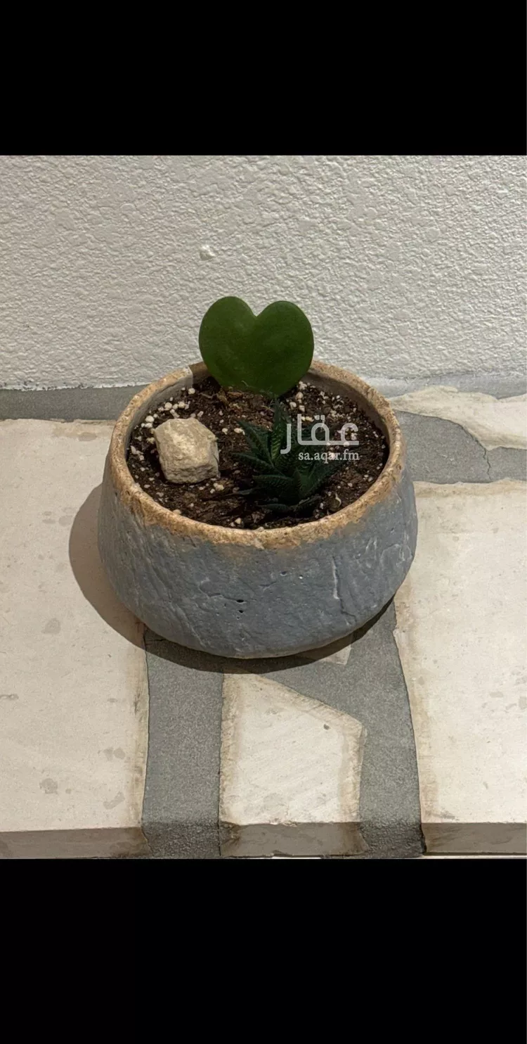 Apartment for Rent in Riyadh Al Malqa صورة 5