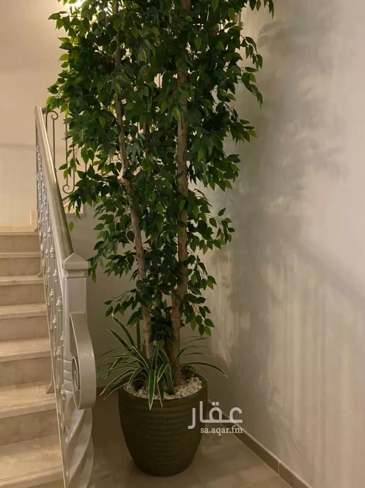 فيلا للإيجار في شارع 4376558, حي الظهران, مدينة الظهران, المنطقة الشرقية صورة 2