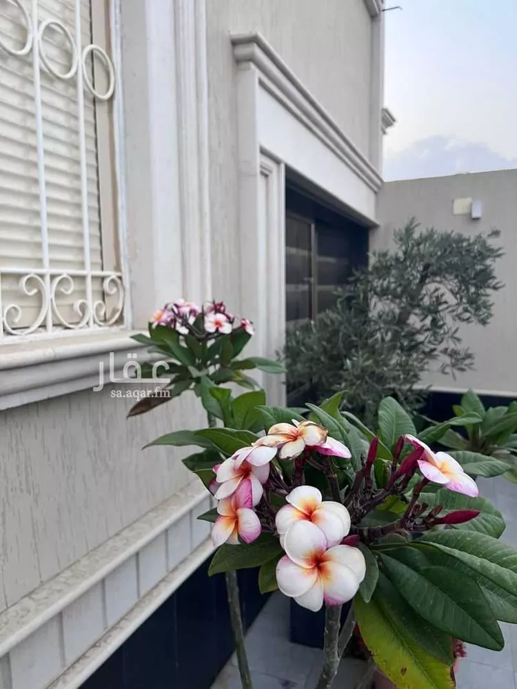 Floor for Rent in Abha Durat Al Mansak