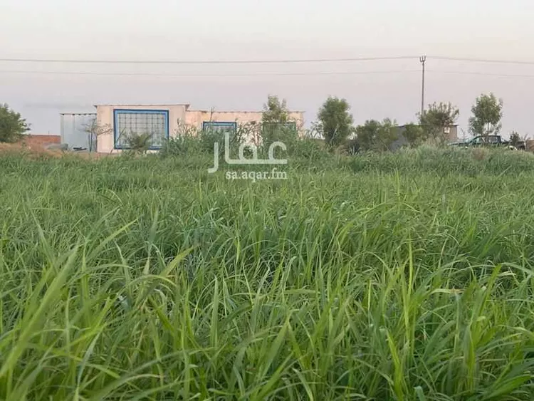 مزرعة للبيع في المملكة العربية السعودية صورة 5