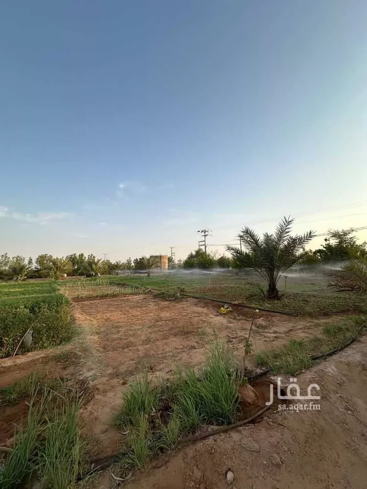 مزرعة للبيع في الجله ، القويعية صورة 2