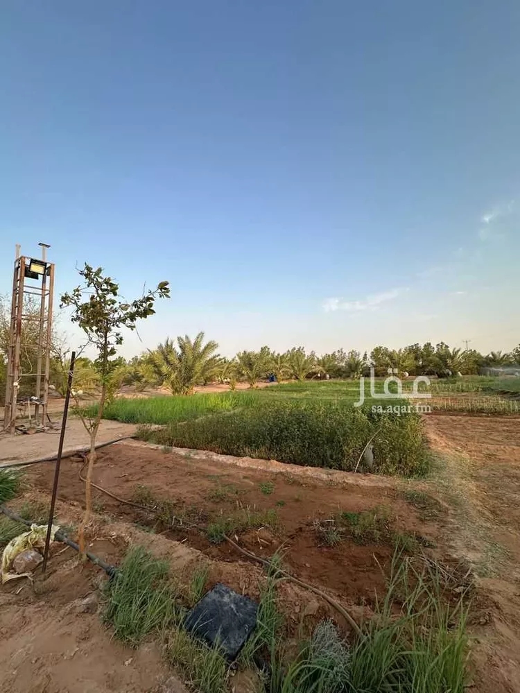مزرعة للبيع في الجله ، القويعية صورة 3