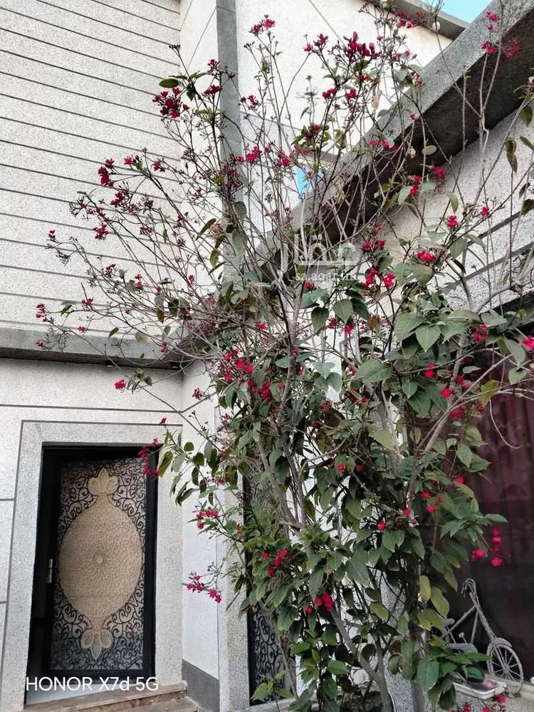 فيلا للإيجار في شارع 4621360, حي الوادي, مدينة حائل, منطقة حائل صورة 3