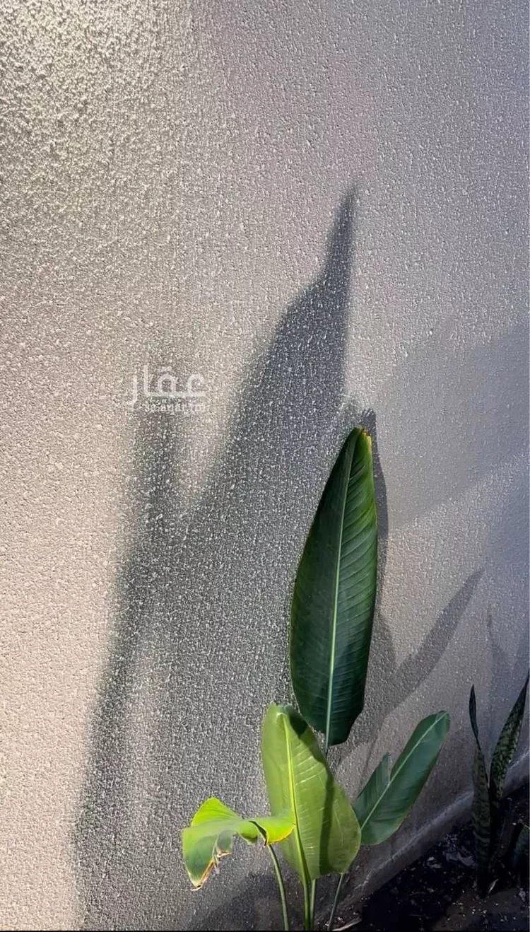 شقة للبيع في شارع المدائن, حي المروج, مدينة ابها, منطقة عسير صورة 5