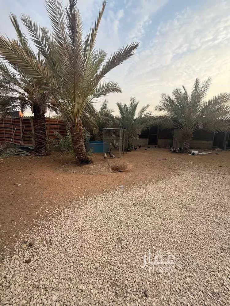 استراحة للبيع في شارع قصور ال مقبل 14, حي قصور ال مقبل, مدينة مزارع البطين ومزرعه دواجن, منطقة الرياض