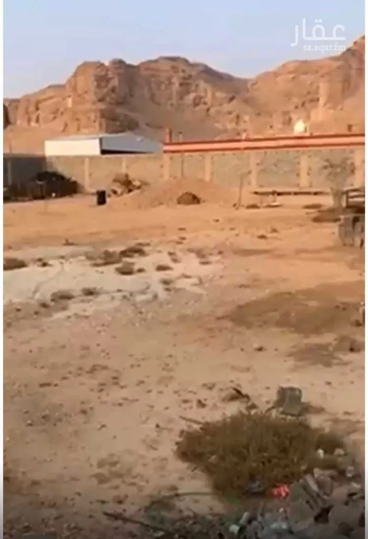 استراحة للإيجار في شارع قصور ال مقبل 41, حي قصور ال مقبل, مدينة مزارع البطين ومزرعه دواجن, منطقة الرياض صورة 4