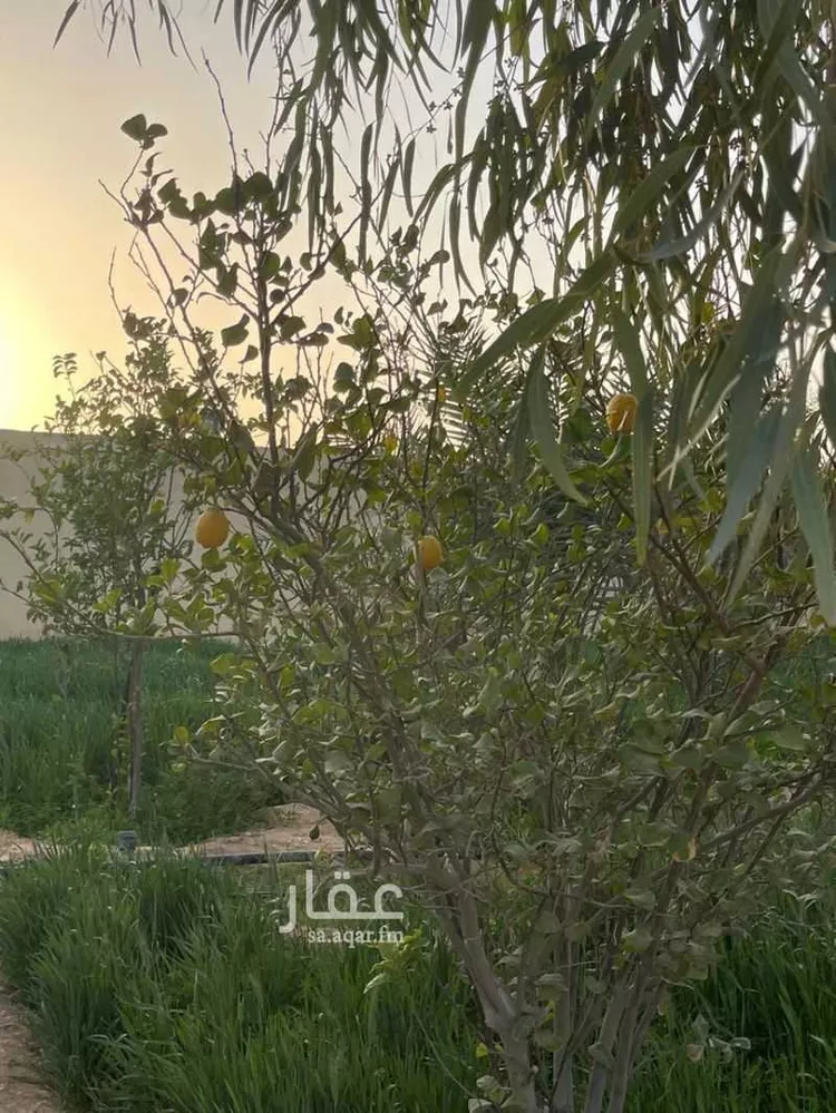 Rest House for Sale in Al Muzahimiyah Al Ulaya صورة 2