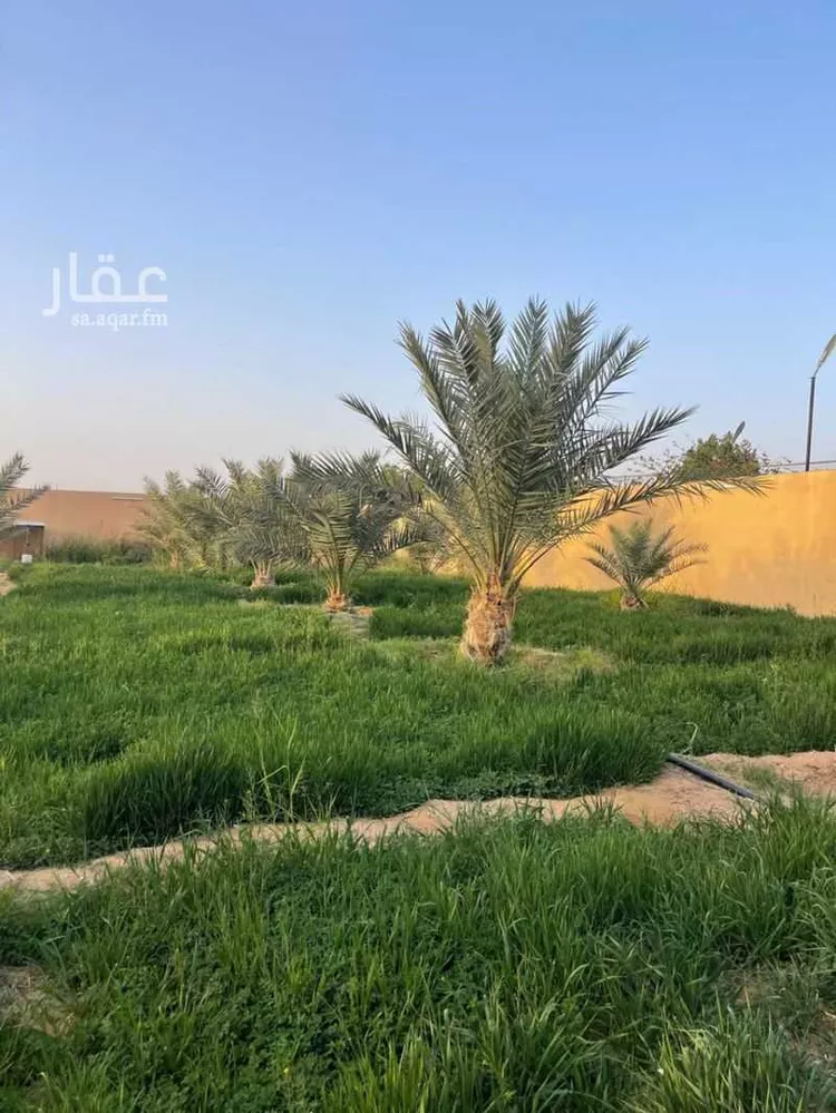 مزرعة للبيع في حي تجمع سكاني الحنية, مدينة تجمع سكاني الحنية, منطقة الرياض 6