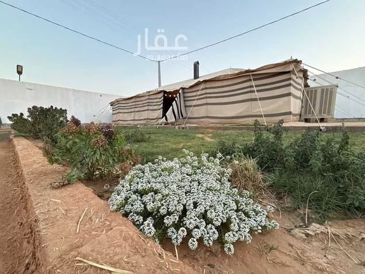 استراحة للبيع في شارع هجرة الاوسط 902, حي تجمع سكاني الحنية, مدينة تجمع سكاني الحنية, منطقة الرياض صورة 2