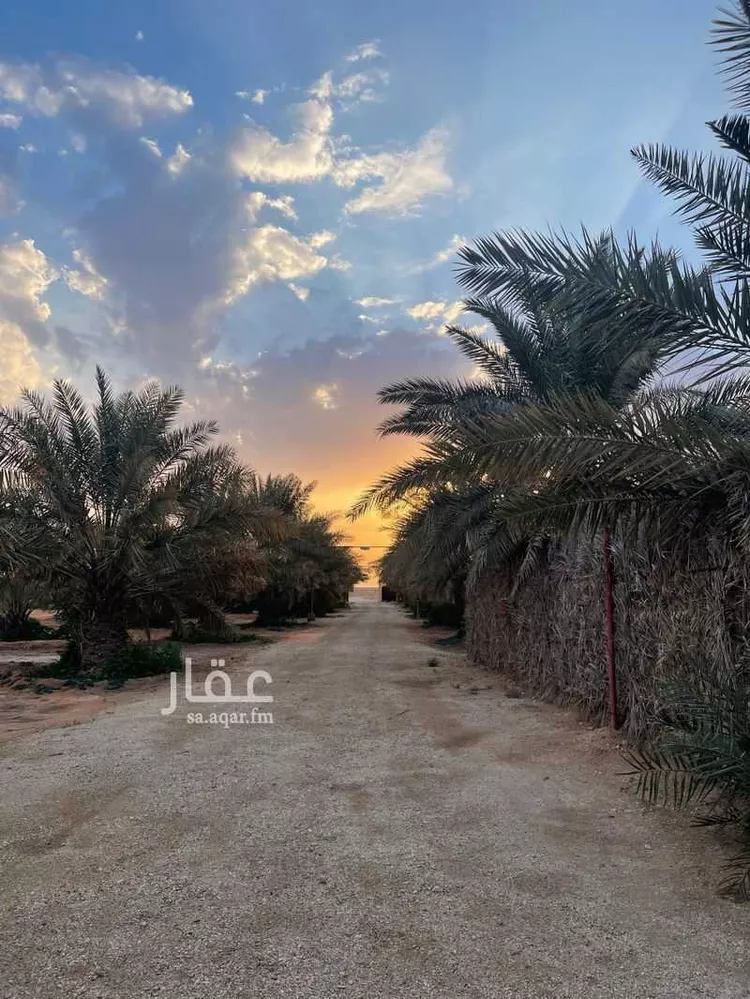 Farm for Sale in Thadiq Al Janadriyah 9