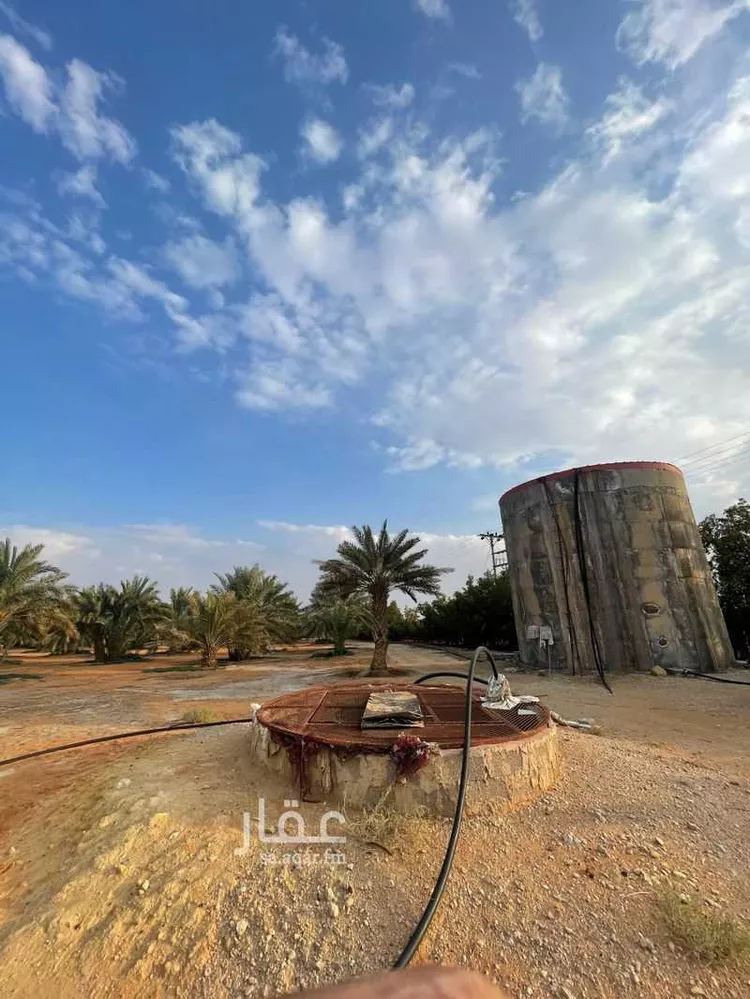 مزرعة للبيع في حي مزارع قصر سعود (السحق), مدينة مزارع قصر سعود (السحق), منطقة الرياض صورة 4
