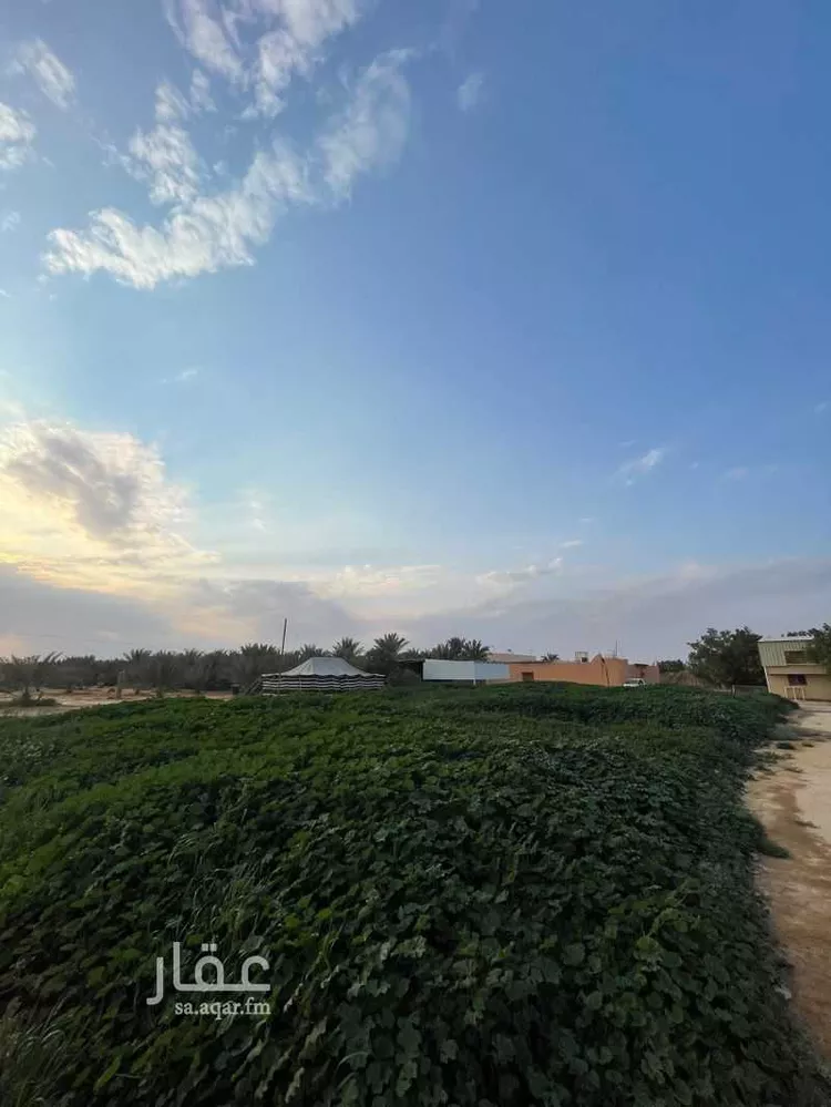 مزرعة للبيع في حي مزارع قصر سعود (السحق), مدينة مزارع قصر سعود (السحق), منطقة الرياض صورة 2