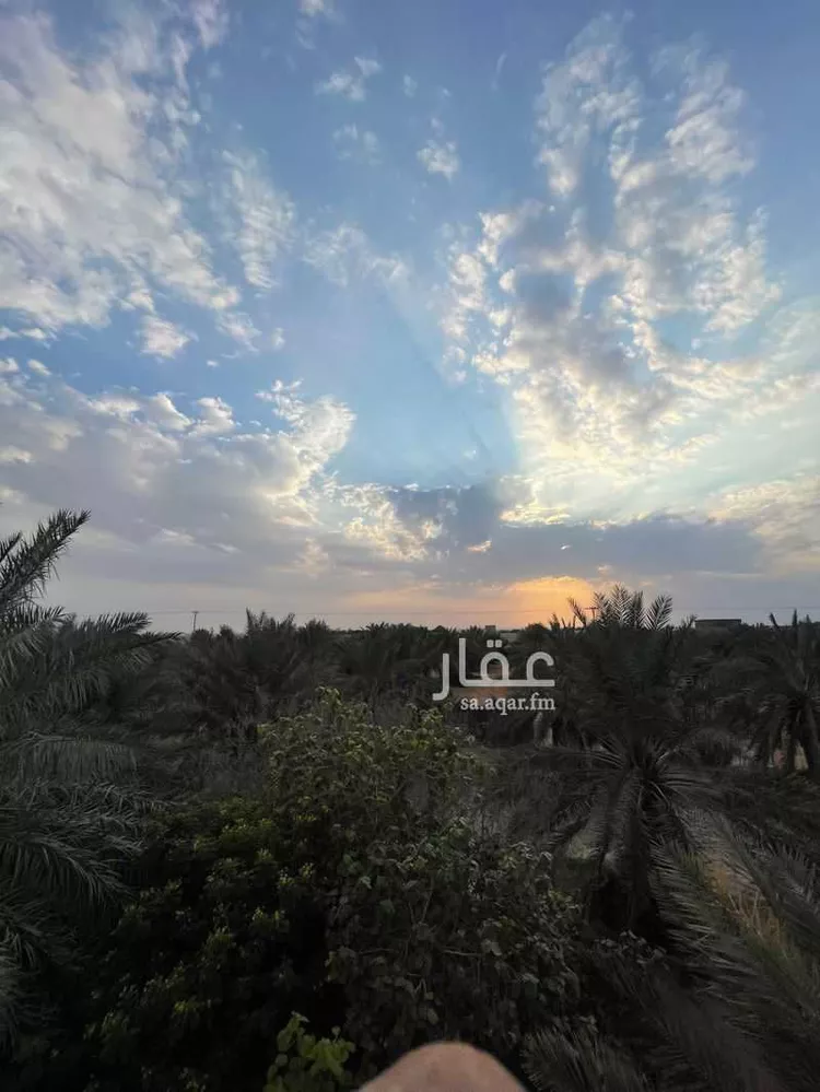 Farm for Sale in Thadiq Al Janadriyah 11