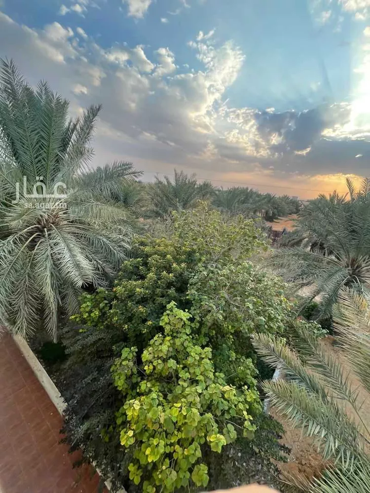 Farm for Sale in Thadiq Al Janadriyah 12