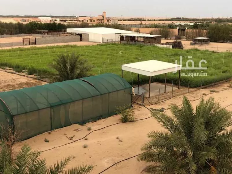 مزرعة للبيع في حي الواضحه, مدينة بقيق, المنطقة الشرقية صورة 3