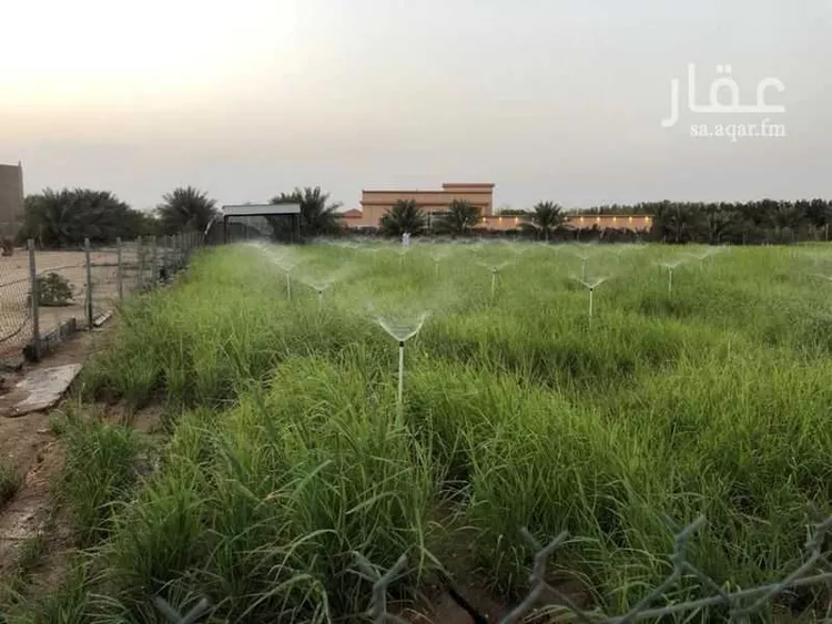 مزرعة للبيع في حي الواضحه, مدينة بقيق, المنطقة الشرقية صورة 5